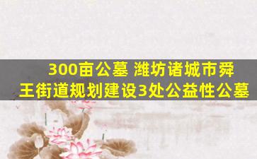 300亩公墓 潍坊诸城市舜王街道规划建设3处公益性公墓